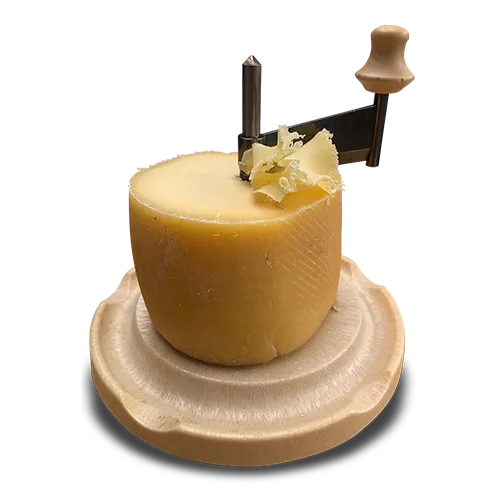 Cabeza de monje